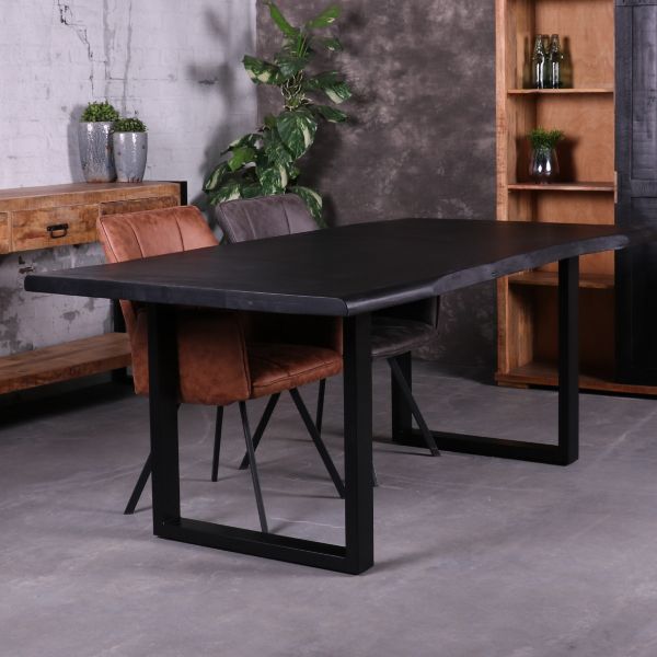 Boomstam tafel zwart